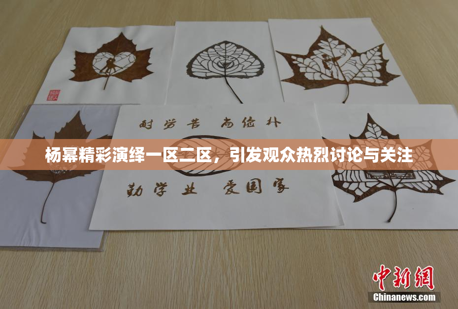 杨幂精彩演绎一区二区，引发观众热烈讨论与关注