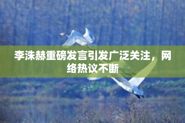 李洙赫重磅发言引发广泛关注，网络热议不断