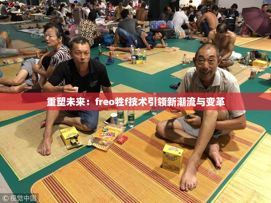 重塑未来：freo牲f技术引领新潮流与变革