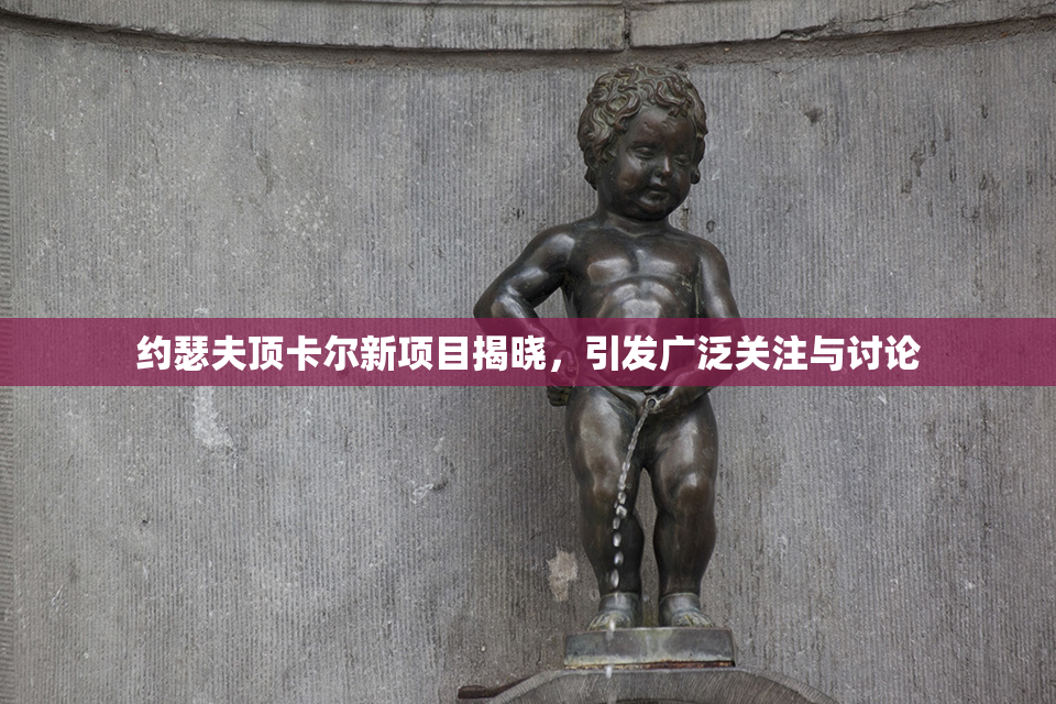 约瑟夫顶卡尔新项目揭晓，引发广泛关注与讨论