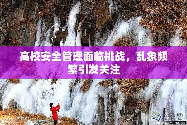 高校安全管理面临挑战，乱象频繁引发关注