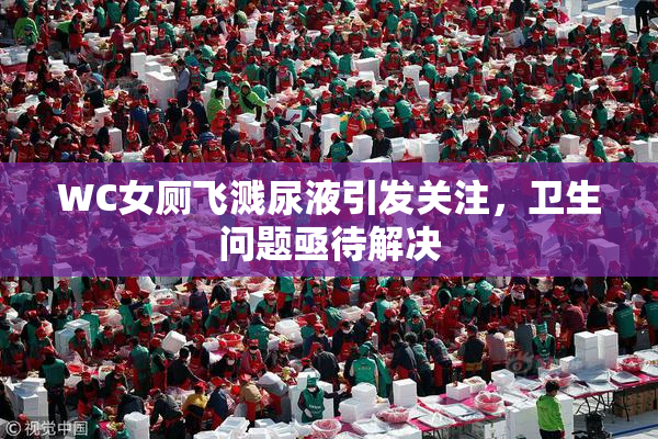 WC女厕飞溅尿液引发关注，卫生问题亟待解决