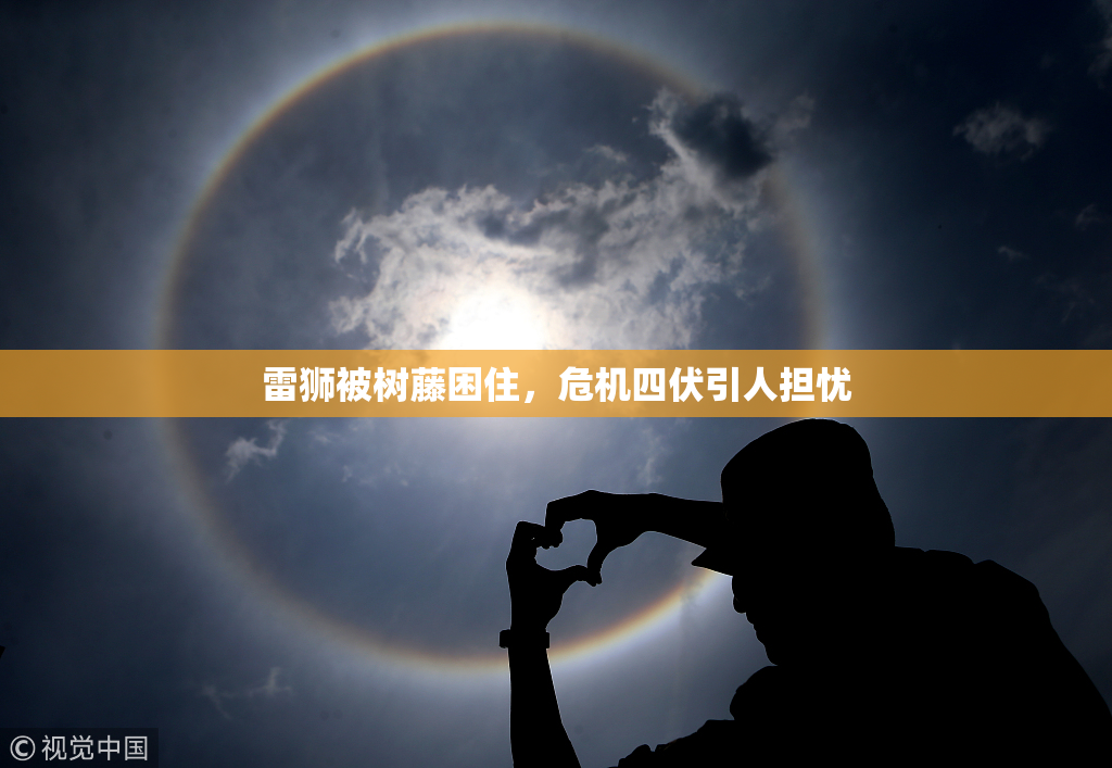 雷狮被树藤困住，危机四伏引人担忧
