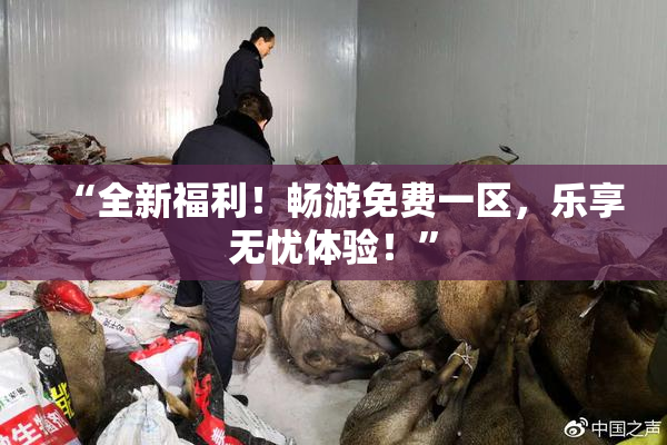 “全新福利！畅游免费一区，乐享无忧体验！”
