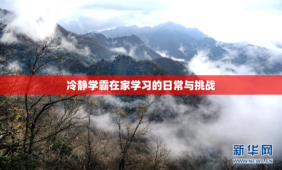 冷静学霸在家学习的日常与挑战