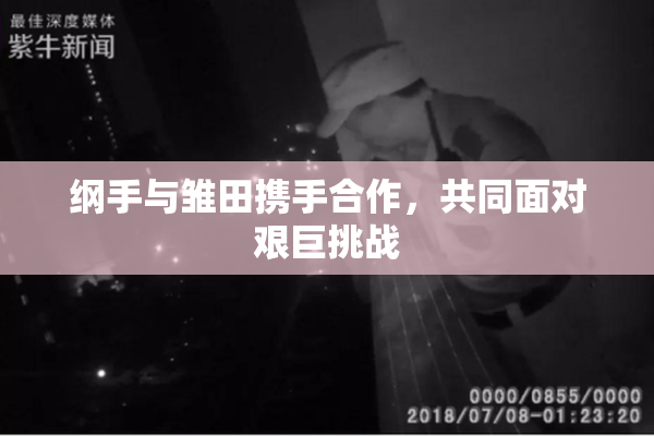 纲手与雏田携手合作，共同面对艰巨挑战