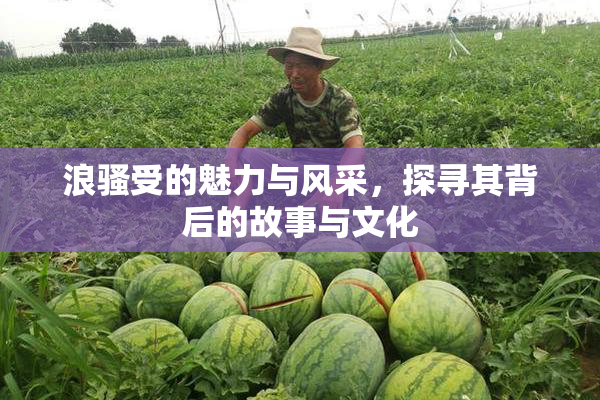 浪骚受的魅力与风采，探寻其背后的故事与文化