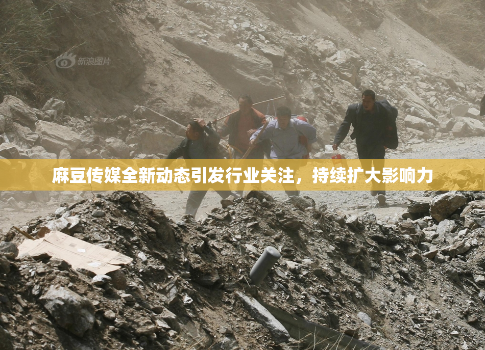 麻豆传媒全新动态引发行业关注，持续扩大影响力