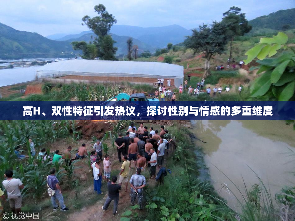高H、双性特征引发热议，探讨性别与情感的多重维度