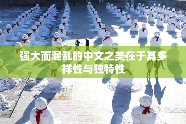强大而混乱的中文之美在于其多样性与独特性