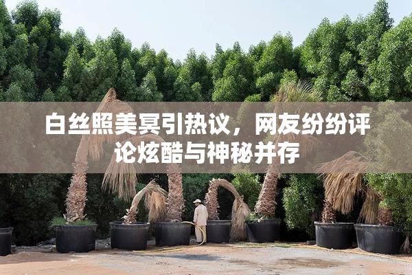 白丝照美冥引热议，网友纷纷评论炫酷与神秘并存