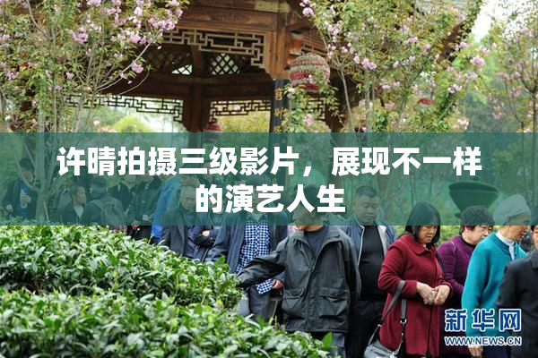 许晴拍摄三级影片，展现不一样的演艺人生