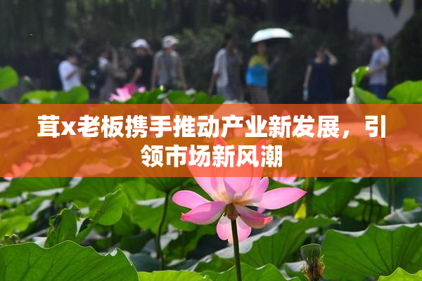 茸x老板携手推动产业新发展，引领市场新风潮
