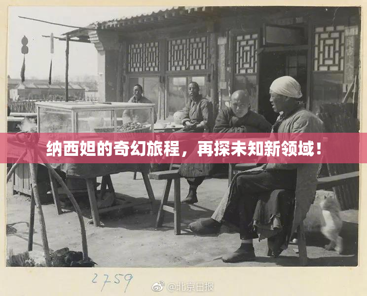 纳西妲的奇幻旅程，再探未知新领域！