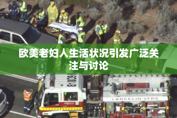 欧美老妇人生活状况引发广泛关注与讨论