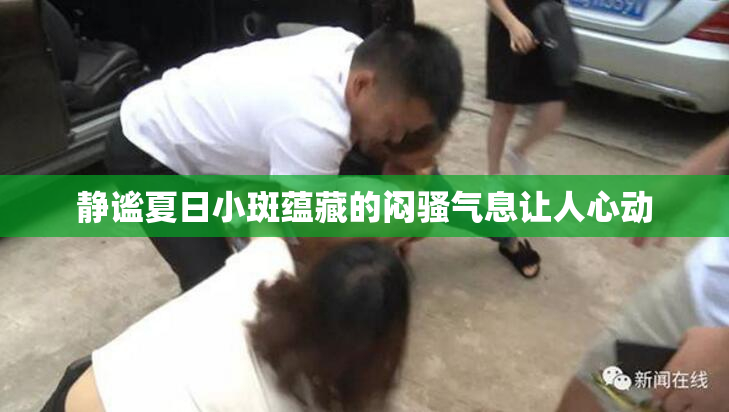 静谧夏日小斑蕴藏的闷骚气息让人心动
