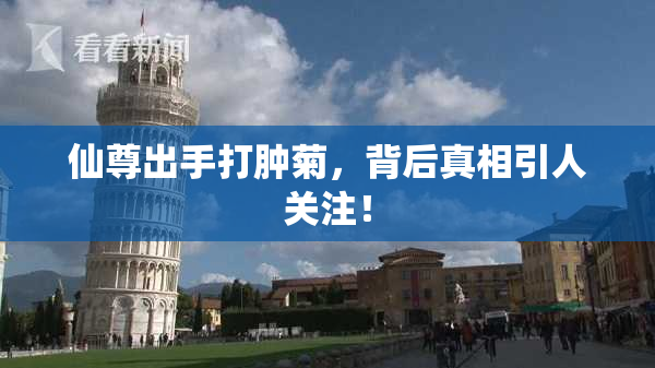 仙尊出手打肿菊，背后真相引人关注！