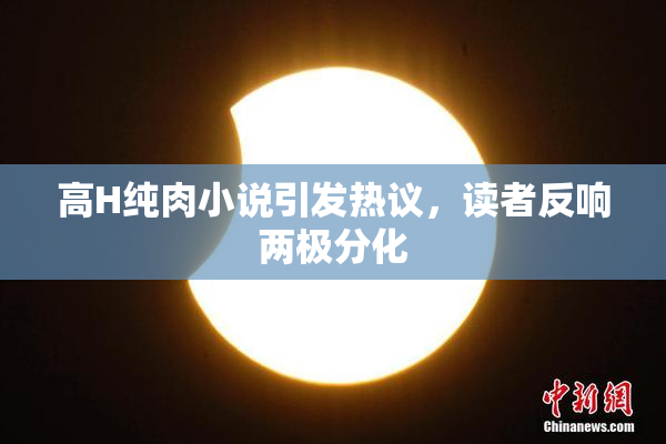 高H纯肉小说引发热议，读者反响两极分化