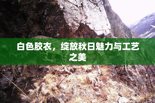 白色胶衣，绽放秋日魅力与工艺之美