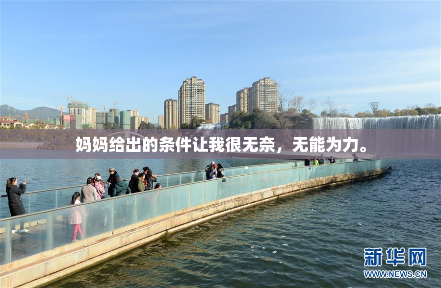 妈妈给出的条件让我很无奈，无能为力。