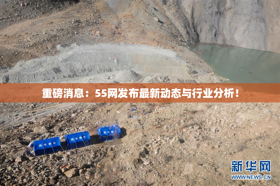 重磅消息：55网发布最新动态与行业分析！