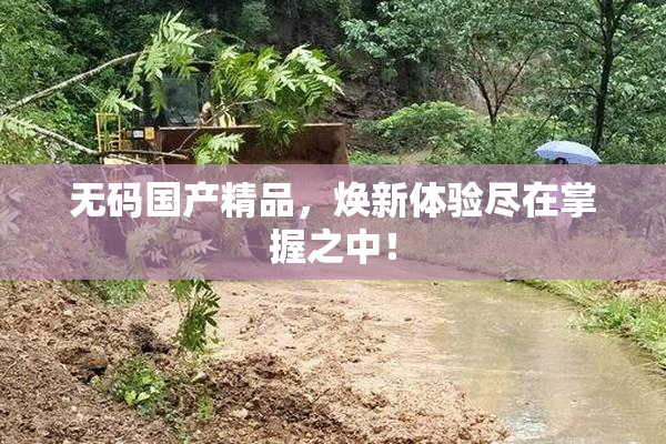 无码国产精品，焕新体验尽在掌握之中！