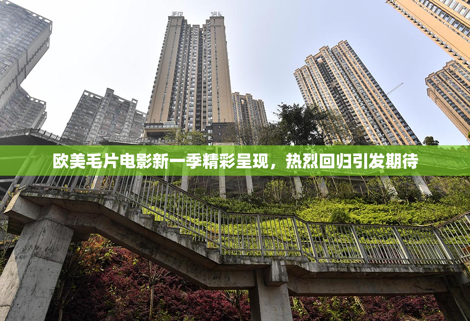 欧美毛片电影新一季精彩呈现，热烈回归引发期待