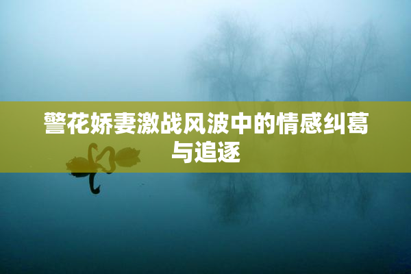 警花娇妻激战风波中的情感纠葛与追逐