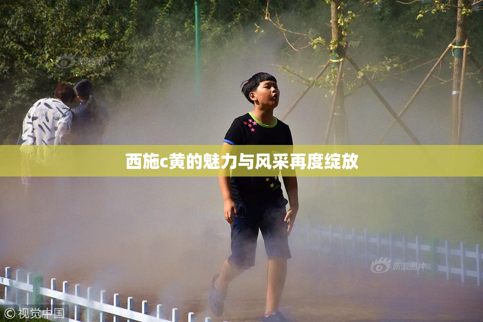 西施c黄的魅力与风采再度绽放