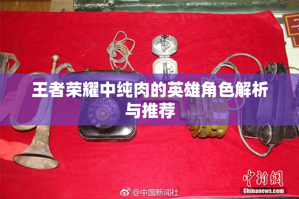 王者荣耀中纯肉的英雄角色解析与推荐