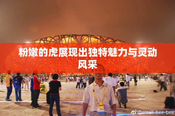粉嫩的虎展现出独特魅力与灵动风采
