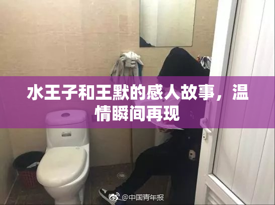 水王子和王默的感人故事，温情瞬间再现