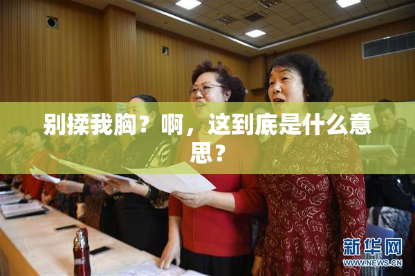 别揉我胸？啊，这到底是什么意思？