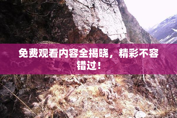 免费观看内容全揭晓，精彩不容错过！