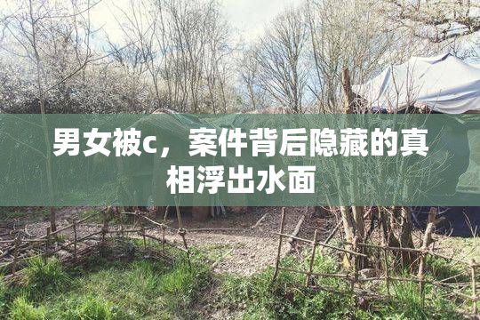 男女被c，案件背后隐藏的真相浮出水面
