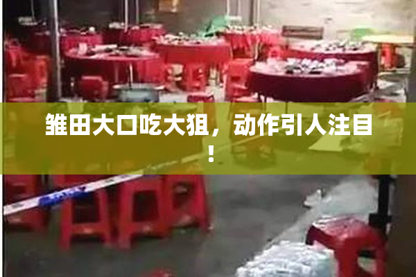 雏田大口吃大狙，动作引人注目！
