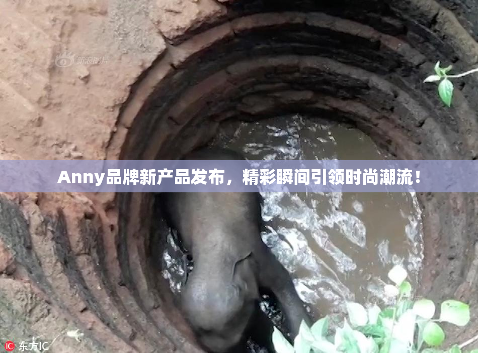 Anny品牌新产品发布，精彩瞬间引领时尚潮流！