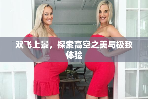 双飞上景，探索高空之美与极致体验