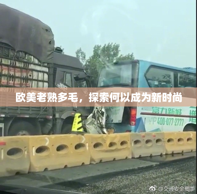 欧美老熟多毛，探索何以成为新时尚