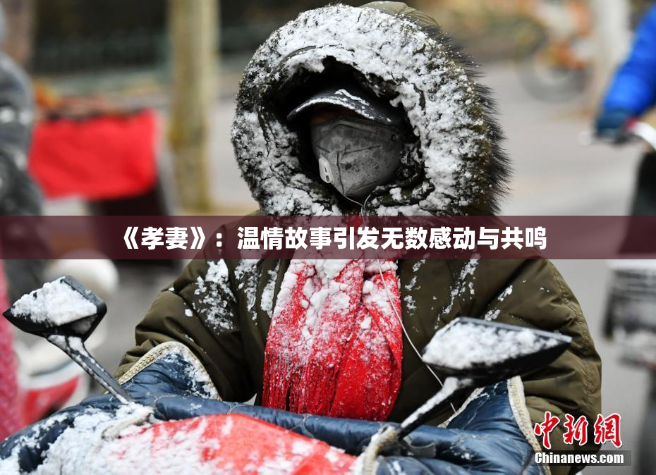 《孝妻》：温情故事引发无数感动与共鸣
