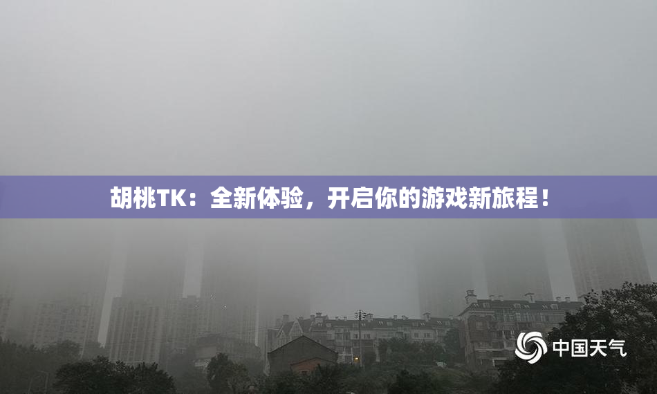 胡桃TK：全新体验，开启你的游戏新旅程！