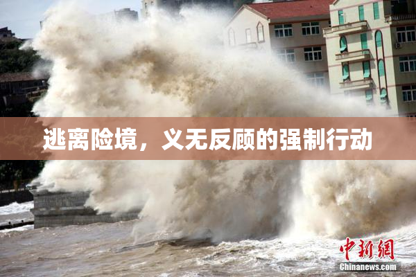 逃离险境，义无反顾的强制行动