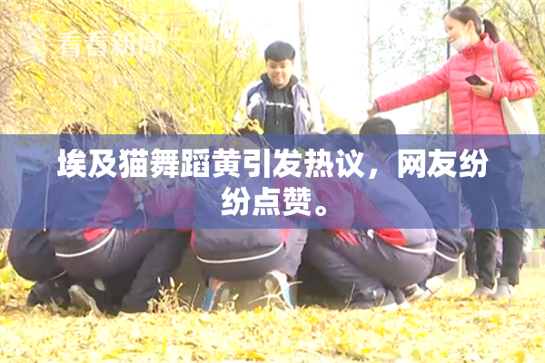 埃及猫舞蹈黄引发热议，网友纷纷点赞。