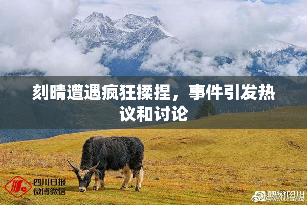 刻晴遭遇疯狂揉捏，事件引发热议和讨论