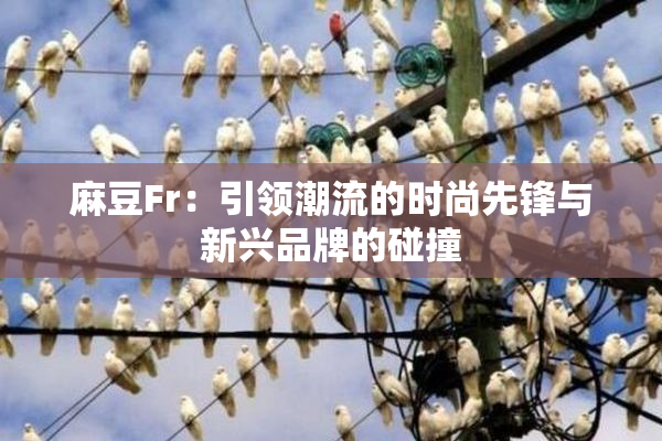 麻豆Fr：引领潮流的时尚先锋与新兴品牌的碰撞