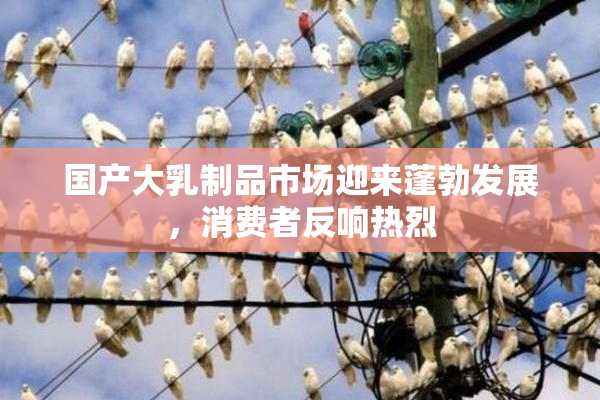 国产大乳制品市场迎来蓬勃发展，消费者反响热烈