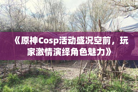 《原神Cosp活动盛况空前，玩家激情演绎角色魅力》