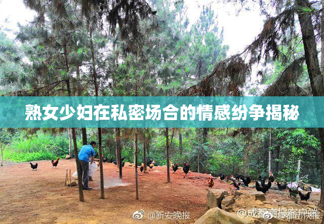 熟女少妇在私密场合的情感纷争揭秘