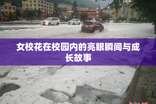 女校花在校园内的亮眼瞬间与成长故事