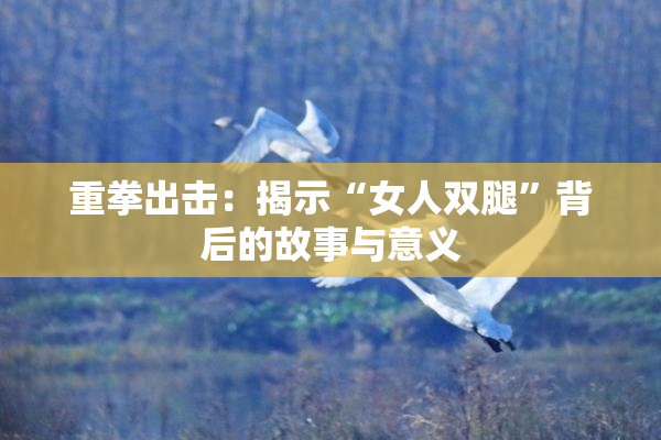 重拳出击：揭示“女人双腿”背后的故事与意义